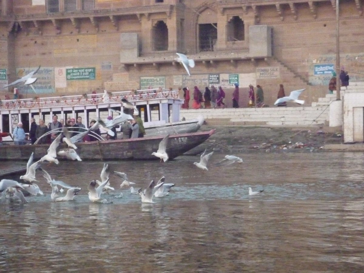 Sunrise - Bank of river Ganga87